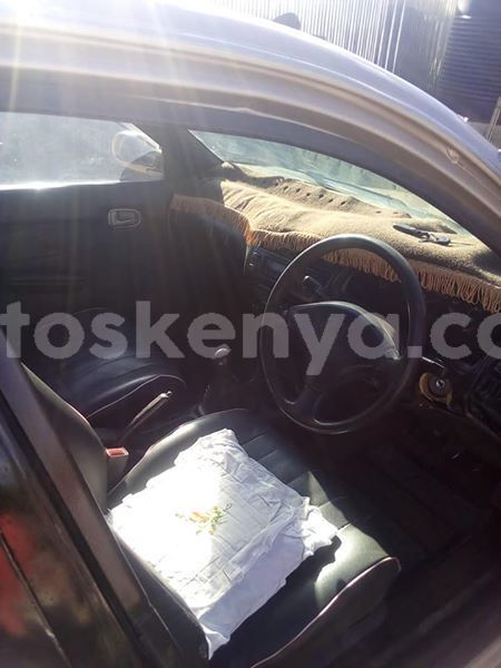 Big with watermark 57462836 2249051715355255 4380052097077346304 n