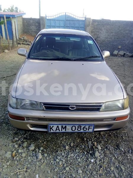 Big with watermark 56888623 2249051662021927 8721193319461289984 n