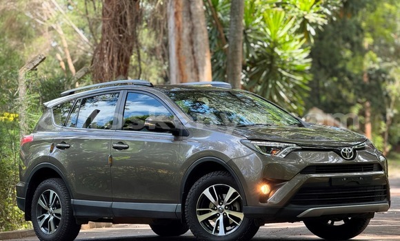 Buy Used Toyota RAV4 Brown Car in Nairobi in Nairobi