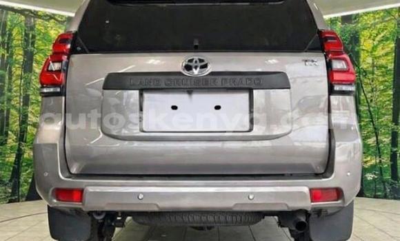 Oofamaa Toyota Land Cruiser Prado Black Makiinaa iti Nairobi keessatti Nairobi keessatti Oofamaa Toyota Land Cruiser Prado Black Makiinaa iti Nairobi keessatti Nairobi keessatti