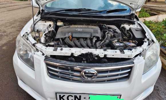 Buy Used Toyota Axio White Car in Nairobi in Nairobi Buy Used Toyota Axio White Car in Nairobi in Nairobi