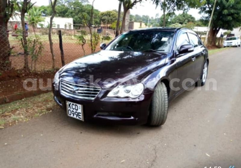 Big with watermark 57232316 2247370485523378 5298711972097818624 n