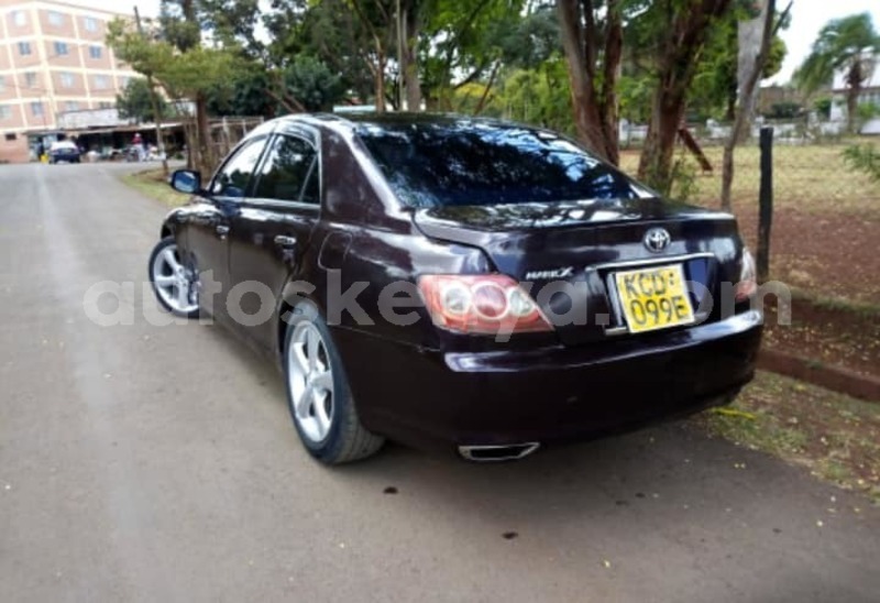 Big with watermark 57317246 2247370442190049 1197103231885377536 n