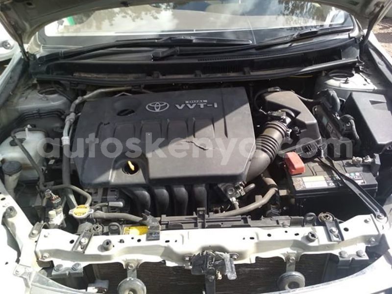 Big with watermark 56806575 2246234518970308 5773692323758080000 n