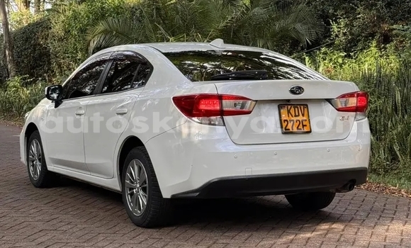 Buy Used Subaru Impreza White Car in Bute in Northeast Kenya Buy Used Subaru Impreza White Car in Bute in Northeast Kenya