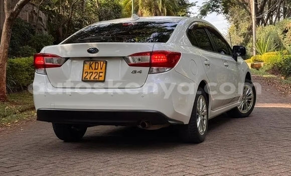 Buy Used Subaru Impreza White Car in Bute in Northeast Kenya Buy Used Subaru Impreza White Car in Bute in Northeast Kenya