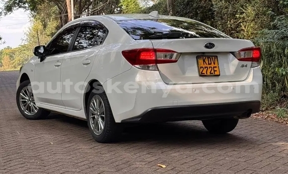 Buy Used Subaru Impreza White Car in Bute in Northeast Kenya Buy Used Subaru Impreza White Car in Bute in Northeast Kenya