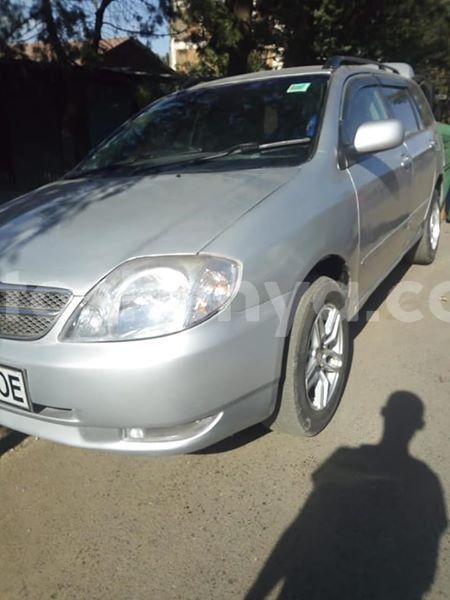 Big with watermark 56314607 2242197706040656 8669048770060615680 n