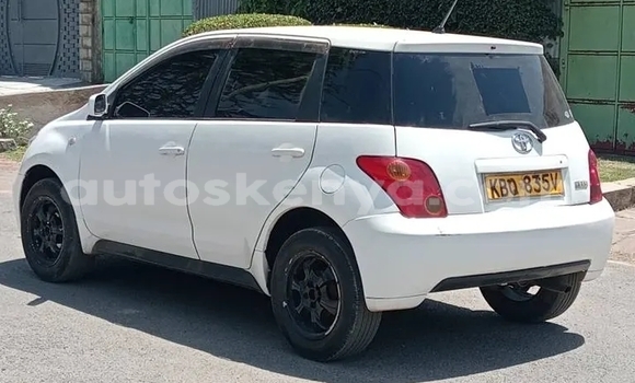Buy Used Toyota IST White Car in Bute in Northeast Kenya Buy Used Toyota IST White Car in Bute in Northeast Kenya