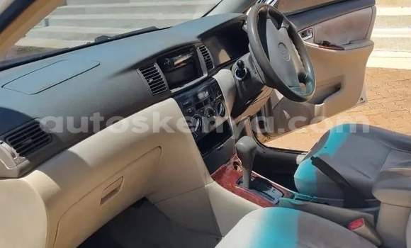 Buy Used Toyota Nadia White Car in Bute in Northeast Kenya Buy Used Toyota Nadia White Car in Bute in Northeast Kenya