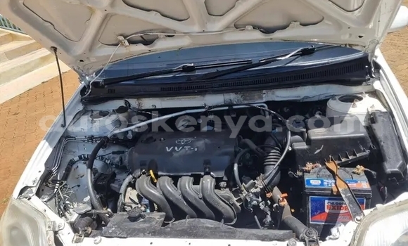 Buy Used Toyota Nadia White Car in Bute in Northeast Kenya Buy Used Toyota Nadia White Car in Bute in Northeast Kenya