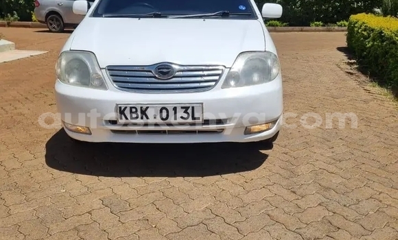 Buy Used Toyota Nadia White Car in Bute in Northeast Kenya Buy Used Toyota Nadia White Car in Bute in Northeast Kenya