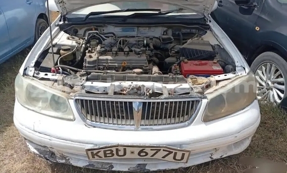 Buy Used Nissan Sunny White Car in Gatanga in Nairobi Buy Used Nissan Sunny White Car in Gatanga in Nairobi