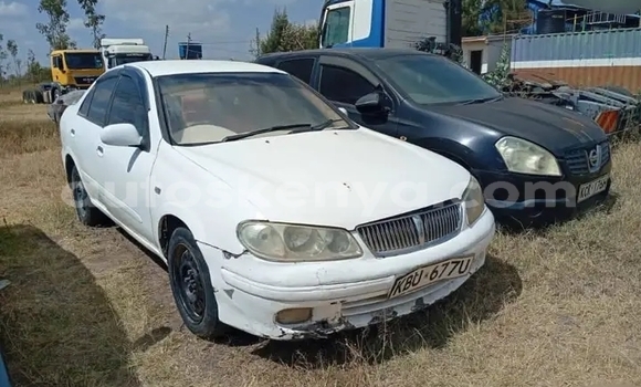Buy Used Nissan Sunny White Car in Gatanga in Nairobi Buy Used Nissan Sunny White Car in Gatanga in Nairobi