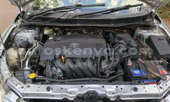 Buy Used Toyota Fielder Other Car in Kinango in Coast Buy Used Toyota Fielder Other Car in Kinango in Coast