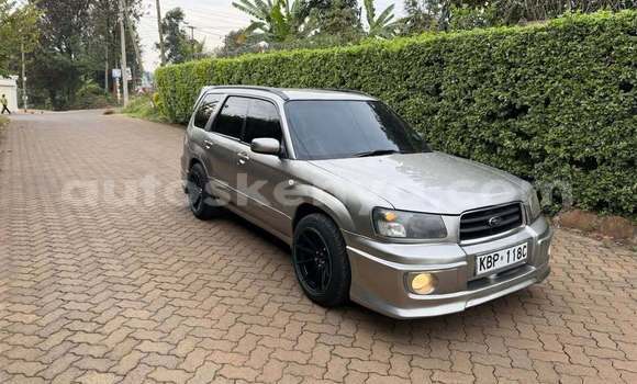 Buy Used Subaru Forester Other Car in Nairobi in Nairobi Buy Used Subaru Forester Other Car in Nairobi in Nairobi