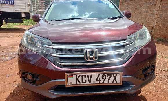 Buy Used Honda CR–V Red Car in Nairobi in Nairobi Buy Used Honda CR–V Red Car in Nairobi in Nairobi