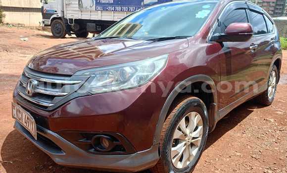 Buy Used Honda CR–V Red Car in Nairobi in Nairobi Buy Used Honda CR–V Red Car in Nairobi in Nairobi