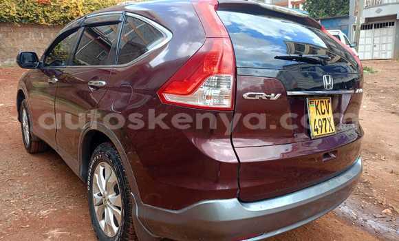 Buy Used Honda CR–V Red Car in Nairobi in Nairobi Buy Used Honda CR–V Red Car in Nairobi in Nairobi
