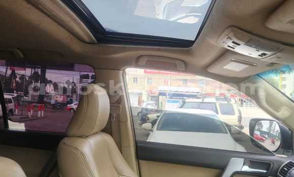 Nunua Ilio tumika Toyota Land Cruiser Prado Nyeupe Gari ndani ya Nairobi nchini Nairobi Nunua Ilio tumika Toyota Land Cruiser Prado Nyeupe Gari ndani ya Nairobi nchini Nairobi