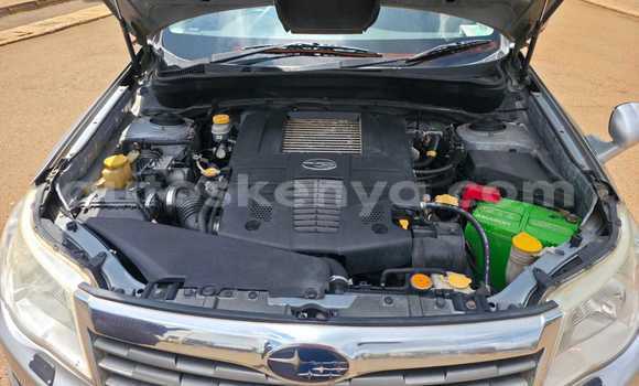 Buy Used Subaru Forester Silver Car in Nairobi in Nairobi Buy Used Subaru Forester Silver Car in Nairobi in Nairobi