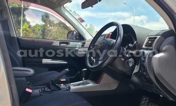 Buy Used Subaru Forester Silver Car in Nairobi in Nairobi Buy Used Subaru Forester Silver Car in Nairobi in Nairobi
