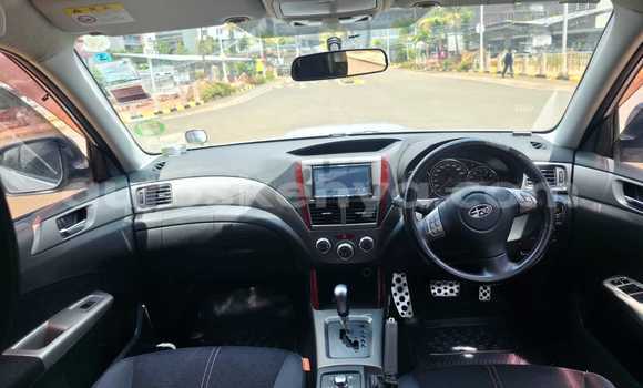 Buy Used Subaru Forester Silver Car in Nairobi in Nairobi Buy Used Subaru Forester Silver Car in Nairobi in Nairobi