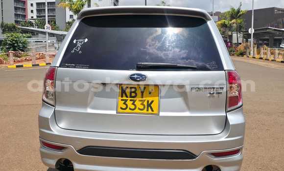 Buy Used Subaru Forester Silver Car in Nairobi in Nairobi Buy Used Subaru Forester Silver Car in Nairobi in Nairobi