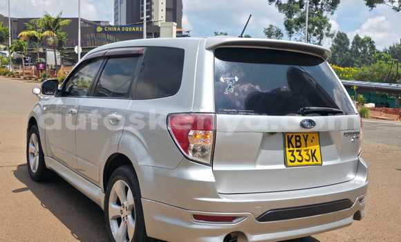 Buy Used Subaru Forester Silver Car in Nairobi in Nairobi Buy Used Subaru Forester Silver Car in Nairobi in Nairobi