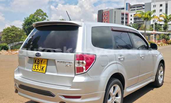 Buy Used Subaru Forester Silver Car in Nairobi in Nairobi Buy Used Subaru Forester Silver Car in Nairobi in Nairobi
