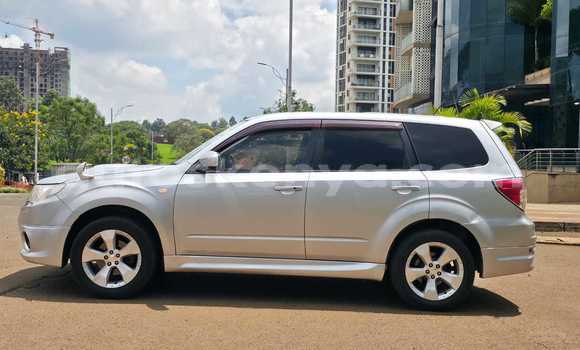 Buy Used Subaru Forester Silver Car in Nairobi in Nairobi Buy Used Subaru Forester Silver Car in Nairobi in Nairobi