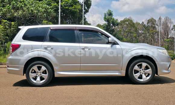 Buy Used Subaru Forester Silver Car in Nairobi in Nairobi Buy Used Subaru Forester Silver Car in Nairobi in Nairobi