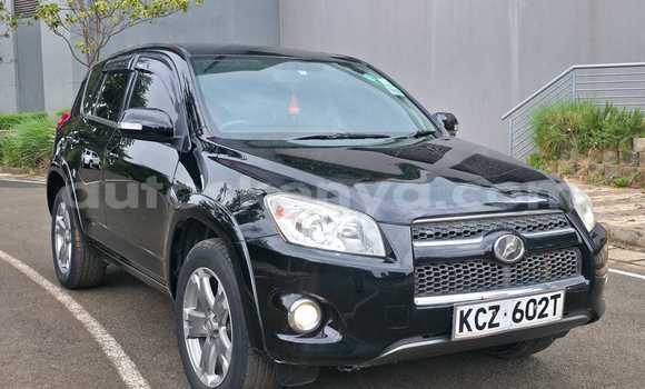 Oofamaa Toyota RAV4 Black Makiinaa iti Nairobi keessatti Nairobi keessatti Oofamaa Toyota RAV4 Black Makiinaa iti Nairobi keessatti Nairobi keessatti