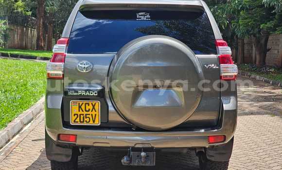 Oofamaa Toyota Land Cruiser Prado Brown Makiinaa iti Nairobi keessatti Nairobi keessatti Oofamaa Toyota Land Cruiser Prado Brown Makiinaa iti Nairobi keessatti Nairobi keessatti