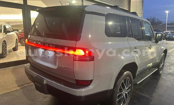 Oofamaa Lexus GX White Makiinaa iti Nairobi keessatti Nairobi keessatti Oofamaa Lexus GX White Makiinaa iti Nairobi keessatti Nairobi keessatti