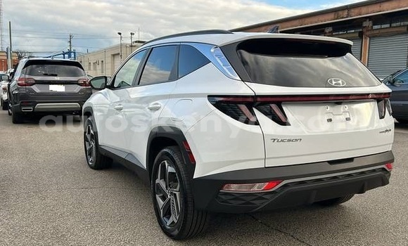 Buy Used Hyundai Tucson White Car in Nairobi in Nairobi Buy Used Hyundai Tucson White Car in Nairobi in Nairobi