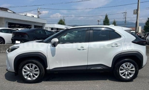 Buy Used Toyota Yaris White Car in Nairobi in Nairobi Buy Used Toyota Yaris White Car in Nairobi in Nairobi