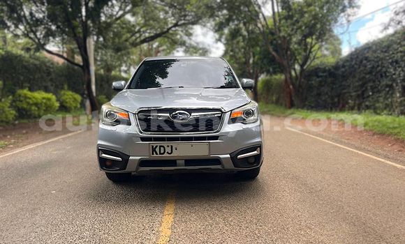 Nunua Ilio tumika Subaru Forester Fedha Gari ndani ya Nairobi nchini Nairobi Nunua Ilio tumika Subaru Forester Fedha Gari ndani ya Nairobi nchini Nairobi
