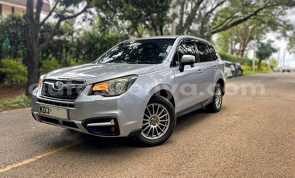 Oofamaa Subaru Forester Silver Makiinaa iti Nairobi keessatti Nairobi keessatti Oofamaa Subaru Forester Silver Makiinaa iti Nairobi keessatti Nairobi keessatti