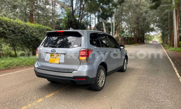 Oofamaa Subaru Forester Silver Makiinaa iti Nairobi keessatti Nairobi keessatti Oofamaa Subaru Forester Silver Makiinaa iti Nairobi keessatti Nairobi keessatti