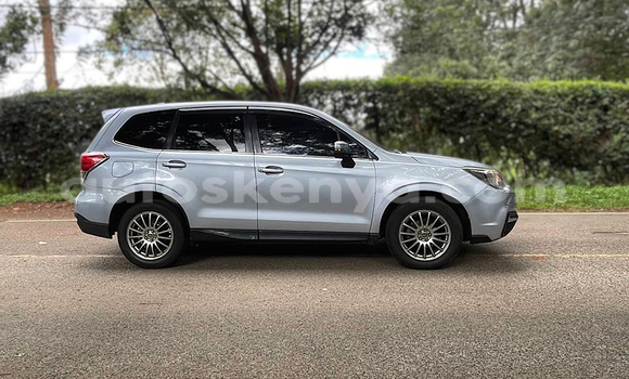Oofamaa Subaru Forester Silver Makiinaa iti Nairobi keessatti Nairobi keessatti Oofamaa Subaru Forester Silver Makiinaa iti Nairobi keessatti Nairobi keessatti