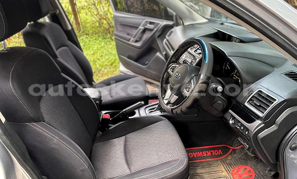 Oofamaa Subaru Forester Silver Makiinaa iti Nairobi keessatti Nairobi keessatti Oofamaa Subaru Forester Silver Makiinaa iti Nairobi keessatti Nairobi keessatti