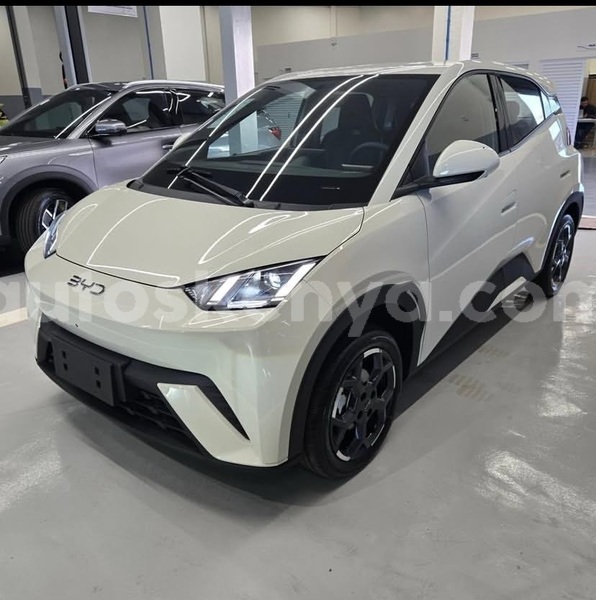 Big with watermark byd seagull nairobi nairobi 29256