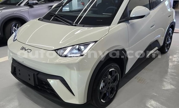 Buy Used BYD Seagull White Car in Nairobi in Nairobi