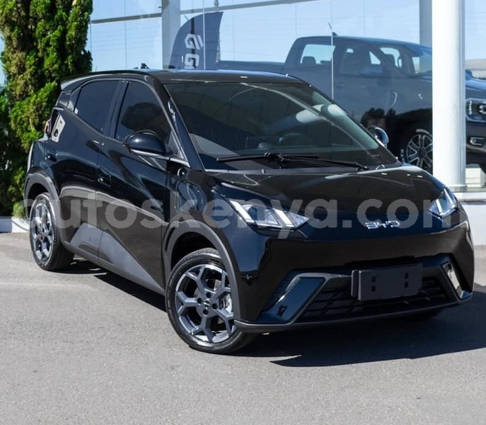 Big with watermark byd seagull nairobi nairobi 29256