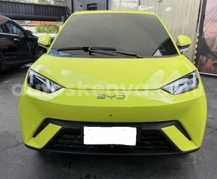 Big with watermark byd seagull nairobi nairobi 29256