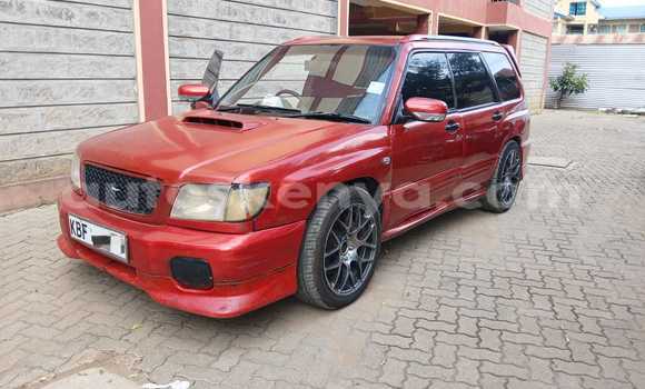 Buy Used Subaru Forester Red Car in Nairobi in Nairobi