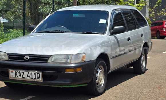 Nunua Ilio tumika Toyota Corolla Fedha Gari ndani ya Nairobi nchini Nairobi Nunua Ilio tumika Toyota Corolla Fedha Gari ndani ya Nairobi nchini Nairobi