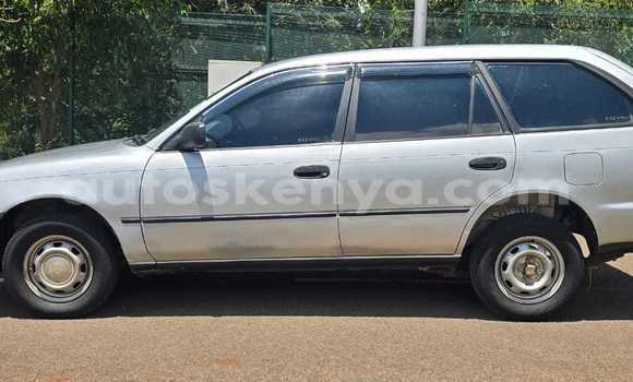Nunua Ilio tumika Toyota Corolla Fedha Gari ndani ya Nairobi nchini Nairobi Nunua Ilio tumika Toyota Corolla Fedha Gari ndani ya Nairobi nchini Nairobi