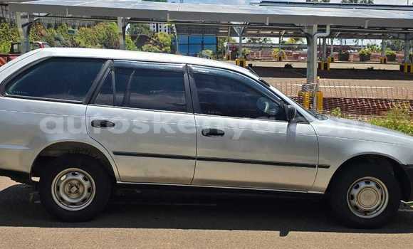 Nunua Ilio tumika Toyota Corolla Fedha Gari ndani ya Nairobi nchini Nairobi Nunua Ilio tumika Toyota Corolla Fedha Gari ndani ya Nairobi nchini Nairobi